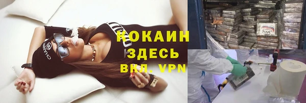 молекула духа Ладушкин