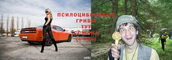 Альфа ПВП Губаха