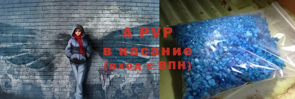 молекула духа Ладушкин