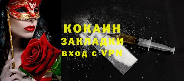 молекула духа Ладушкин