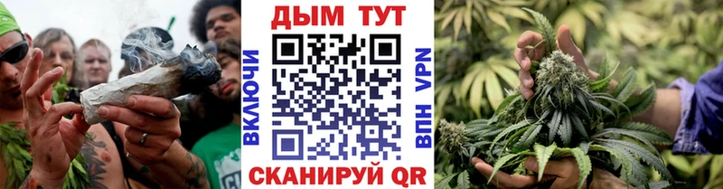 Конопля MAZAR  Льгов 